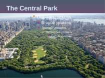 The Central Park