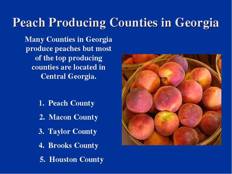 Peach Producing Counties in Georgia Many Counties in Georgia produce peaches ...