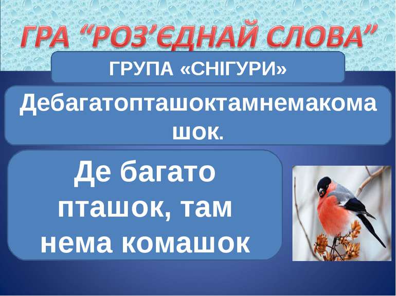 ГРУПА «СНІГУРИ» Дебагатопташоктамнемакомашок. Де багато пташок, там нема комашок