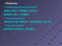 Робота : Нітрифікуючих бактерій 2NH3+3O2 = 2HNO2+2H2O 2HNO2+O2 = 2HNO3 Залізо...