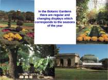 In the Botanic Gardens there are regular and changing displays which correspo...