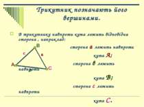 Трикутник позначають його вершинами. В трикутнику навпроти кута лежить відпов...