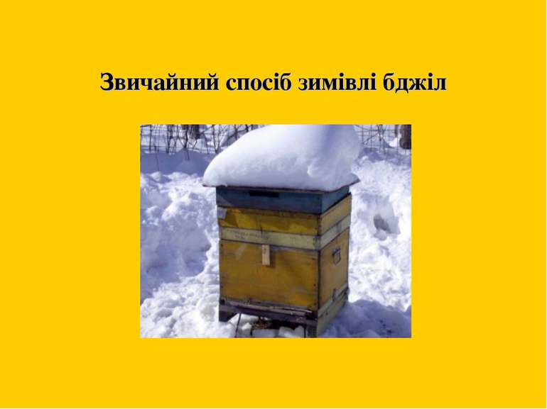 Звичайний спосіб зимівлі бджіл м. Жтитомир 2011