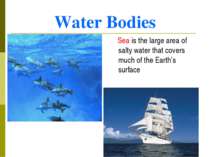 Water Bodies Sea is the large area of salty water that covers much of the Ear...