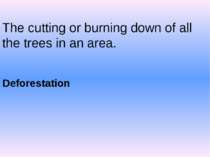 The cutting or burning down of all the trees in an area. Deforestation