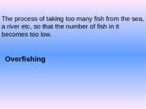 The process of taking too many fish from the sea, a river etc, so that the nu...