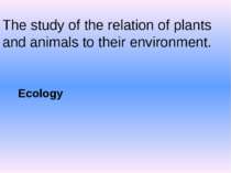 The study of the relation of plants and animals to their environment. Ecology