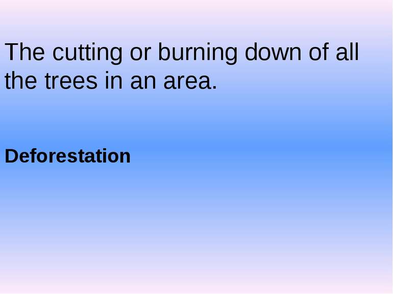 The cutting or burning down of all the trees in an area. Deforestation