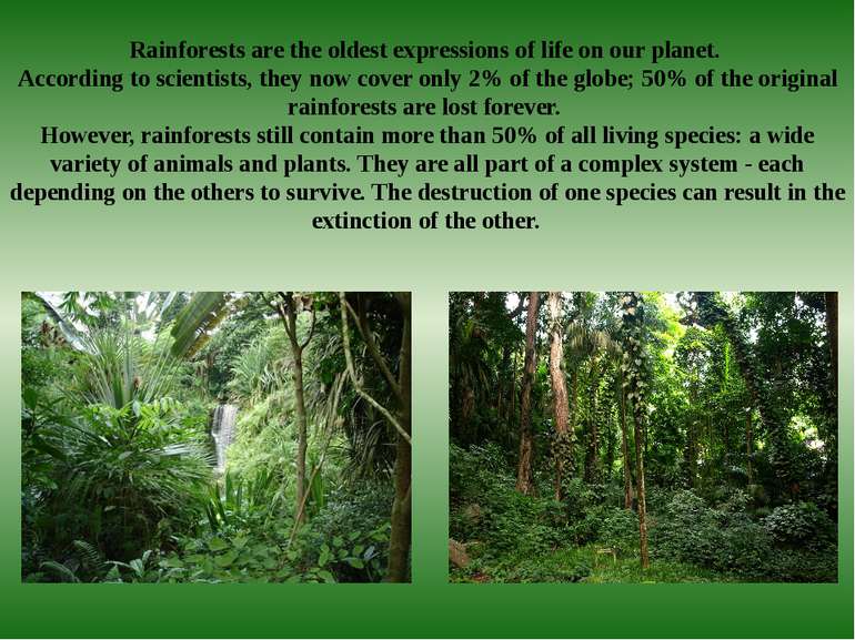 Rainforests are the oldest expressions of life on our planet. According to sc...