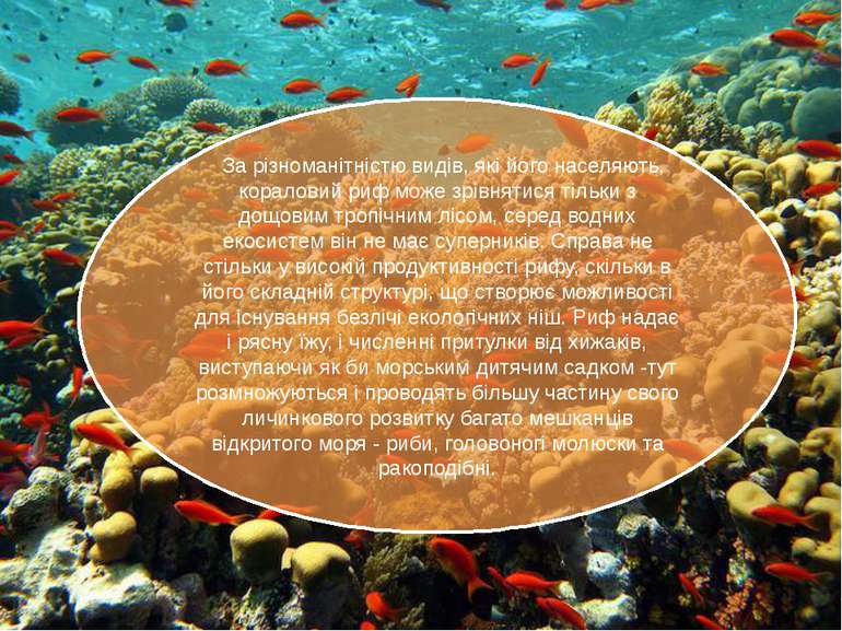  За різноманітністю видів, які його населяють, кораловий риф може зрівнятися ...