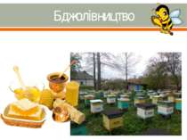 Бджолівництво