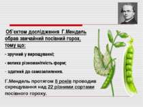 Об’єктом дослідження Г.Мендель обрав звичайний посівний горох, тому що: - зру...