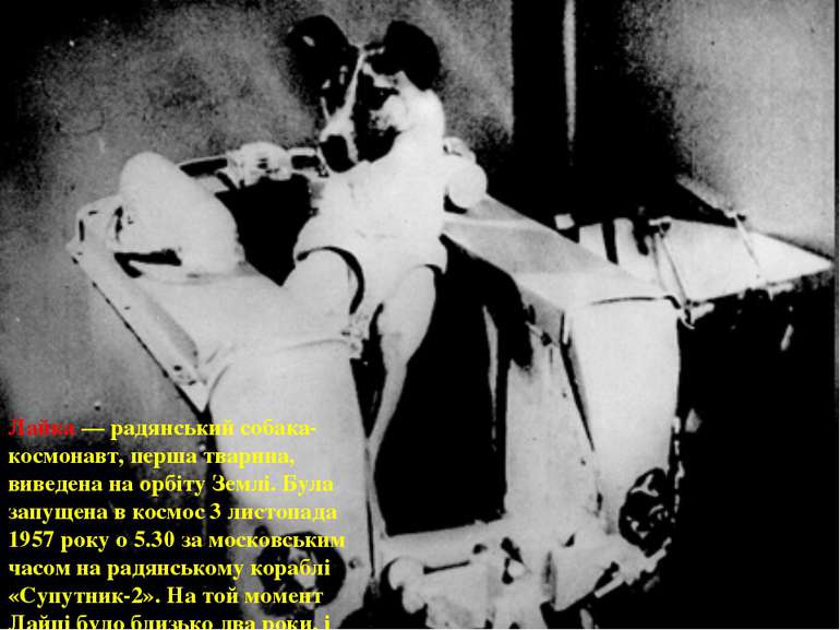 Лайка — радянський собака- космонавт, перша тварина, виведена на орбіту Землі...