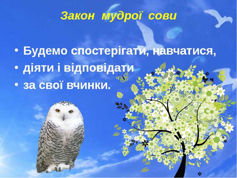 Закон мудрої сови Будемо спостерігати, навчатися, діяти і відповідати за свої...