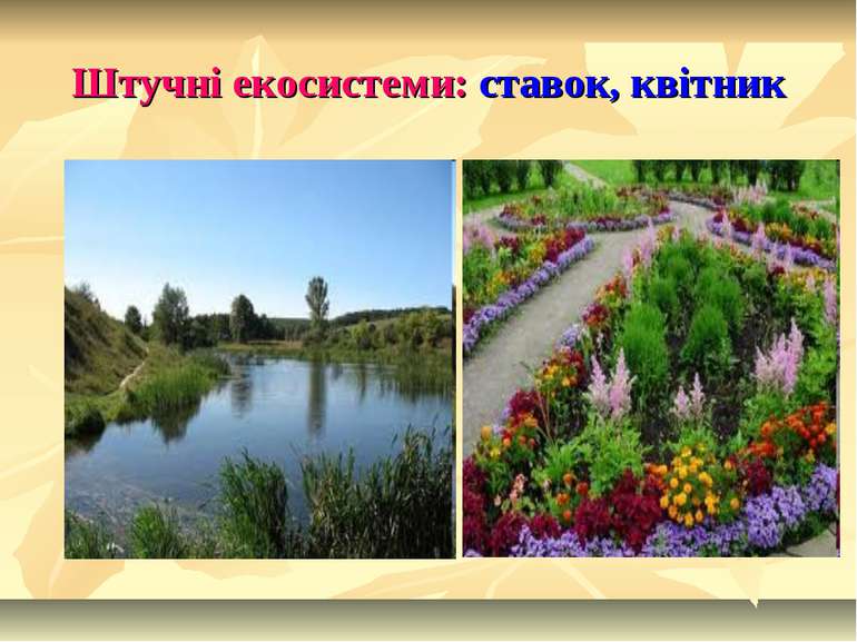 Штучні екосистеми: ставок, квітник