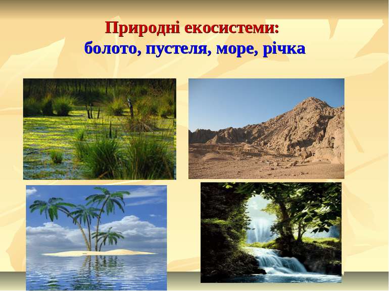 Природні екосистеми: болото, пустеля, море, річка