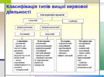 Класифікація типів вищої нервової діяльності