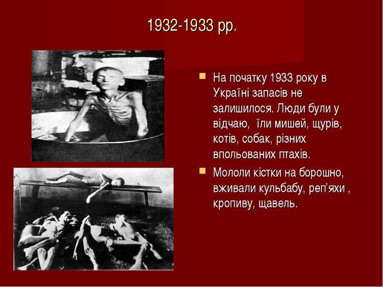1932-1933 рр. На початку 1933 року в Україні запасів не залишилося. Люди були...