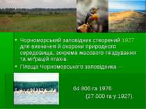 Чорноморський заповідник створений 1927 для вивчення й охорони природного сер...