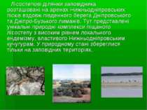 Лісостепові ділянки заповідника розташовані на аренах Нижньодніпровських піск...