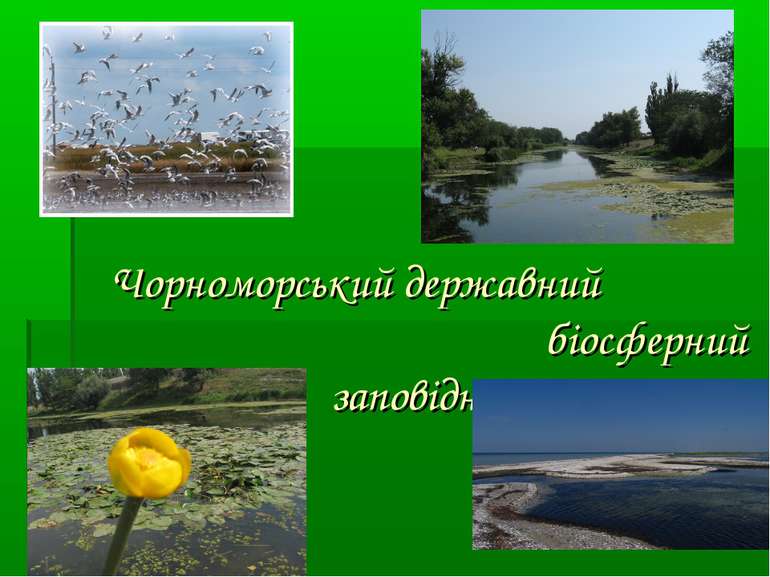 Чорноморський державний біосферний заповідник
