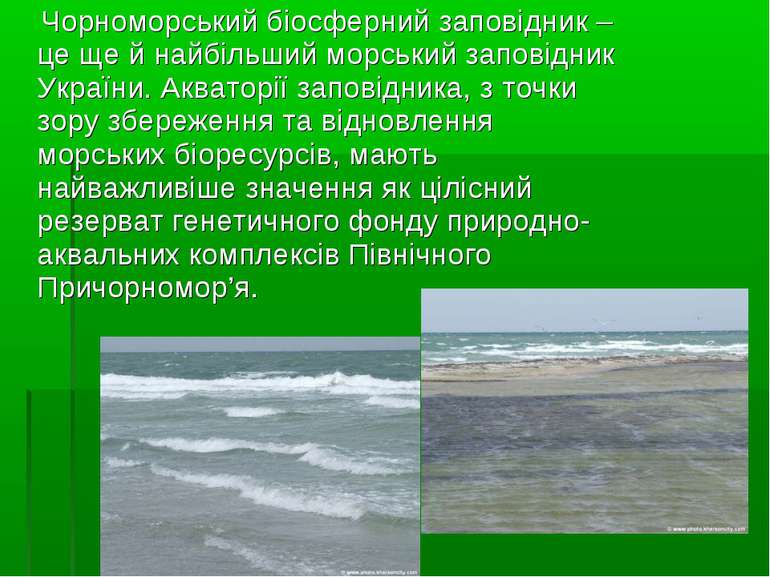 Чорноморський біосферний заповідник – це ще й найбільший морський заповідник ...