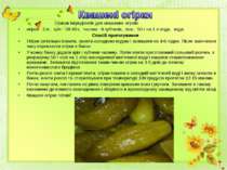Список інгредієнтів для квашених огірків: огірки - 2 кг, кріп - 30-40 г, часн...
