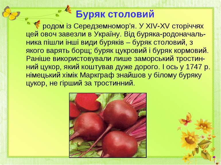 родом із Середземномор’я. У ХІV-ХV сторіччях цей овоч завезли в Україну. Від ...