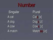 Number Singular A cat A dog A cow A match Plural Cats [s] Dogs [z] Cows [z] M...