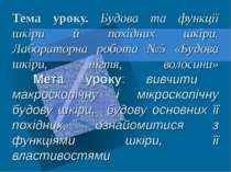 Тема уроку. Будова та функції шкіри й похідних шкіри. Лабораторна робота №5 «...