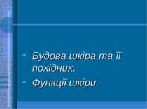 Будова шкіра та її похідних. Функції шкіри.