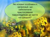 Які основні особливості організації, що забезпечили пристосування павукоподіб...