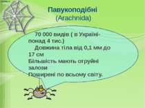 Павукоподібні (Arachnida) 70 000 видів ( в Україні- понад 4 тис.) Довжина тіл...