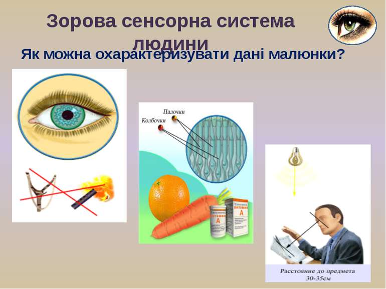 Зорова сенсорна система людини Як можна охарактеризувати дані малюнки?