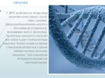 СТРУКТУРА У ДНК зустрічається чотири види азотистих основ (аденін, гуанін, ти...