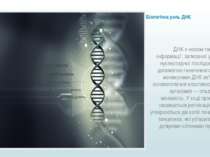 Біологічна роль ДНК ДНК є носієм генетичної інформації, записаної у вигляді н...