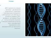 Реплікація ДНК подвоюється у процесі реплікації : два ланцюжки розділяються, ...