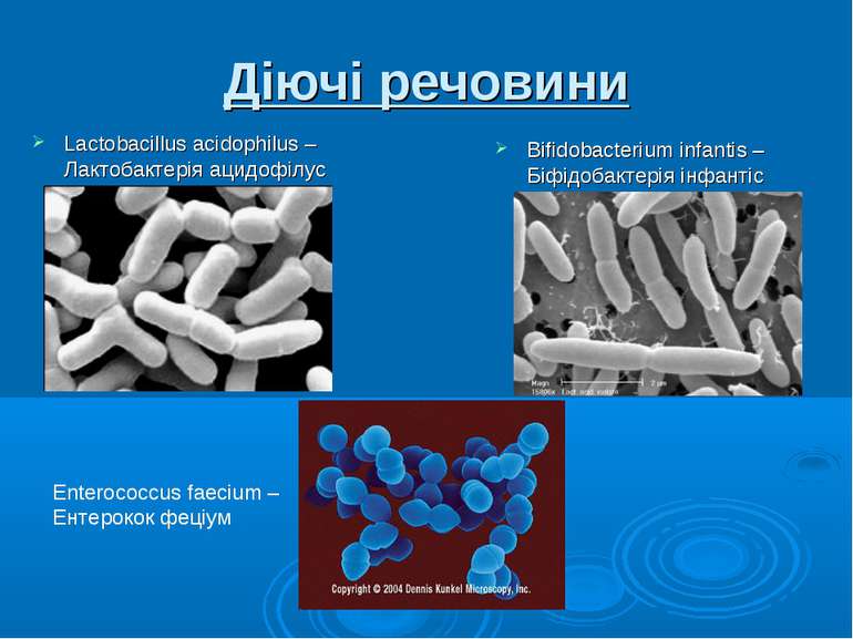 Діючі речовини Lactobacillus acidophilus – Лактобактерія ацидофілус Bifidobac...