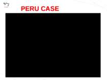 PERU CASE