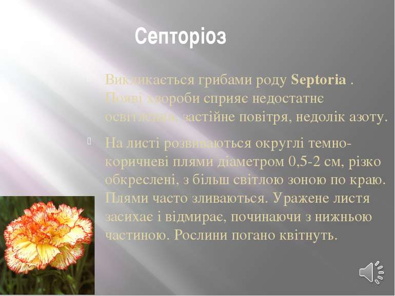 Септоріоз Викликається грибами роду Septoria . Появі хвороби сприяє недостатн...