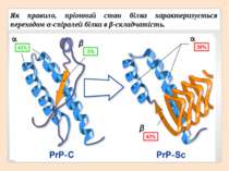 Як правило, пріонний стан білка характеризується переходом α-спіралей білка в...