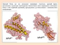 Пріоний білок, що має аномальну тривимірну структуру, здатний прямо каталізув...