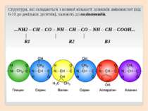 Структури, які складаються з великої кількості залишків амінокислот (від 6-10...