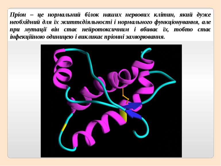 Пріон – це нормальний білок наших нервових клітин, який дуже необхідний для ї...