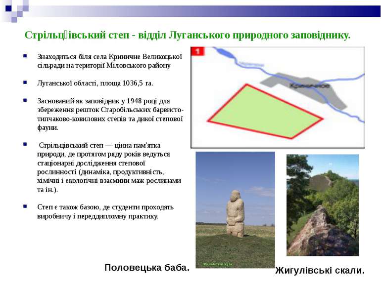 Стрільц івський степ - відділ Луганського природного заповіднику. Знаходиться...