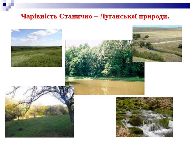 Чарівність Станично – Луганської природи.