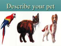 Describe your pet