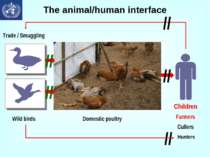 The animal/human interface // // // // //