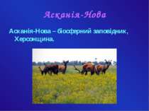 Асканія-Нова Асканія-Нова – біосферний заповідник, Херсонщина.