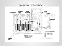 Reactor Schematic